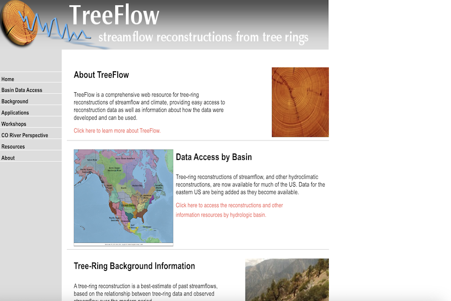 Snapshot of Treeflow