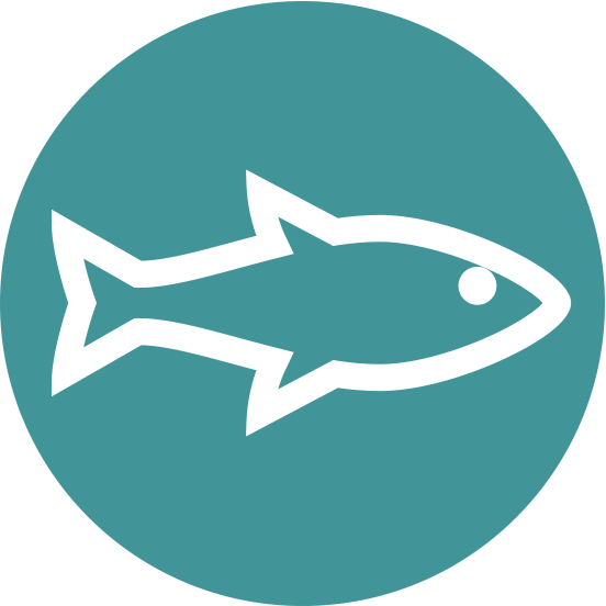 temp icon