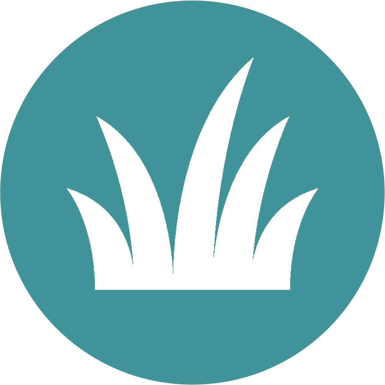 wetland icon