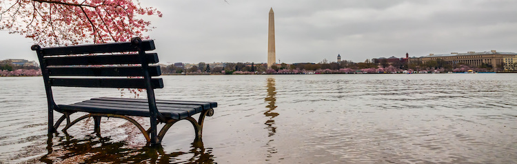 DC mall flooded.
