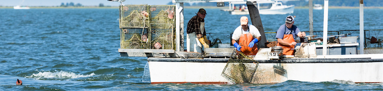 commercial crab boat